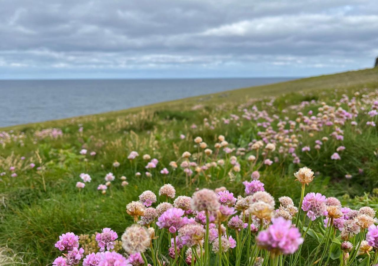 Loop Head Lighthouse Attendant'S Cottage Kilbaha Экстерьер фото